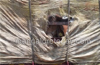 Seven arrested for illegal attack on cow transporters